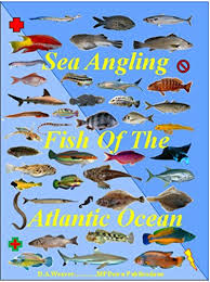 Amazon Com Sea Angling Fish Of The Atlantic Ocean Ebook