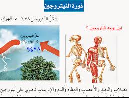 علوم خامس الفصل الأول الدورات في الأنظمة البيئية
