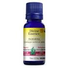 Palmarosa Organic Essential Oil 15 mL Divine Essence
