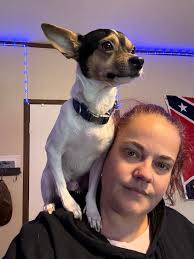 Lost dog Yukon found in Breaux Bridge area