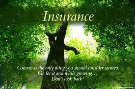 Pin On Insurance