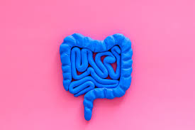 Rektoskopie Ablauf Und Mogliche Komplikationen