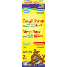 Hylands Natural™ Grape Flavor Cold 'N Cough Homeopathic Medicine, 4 Fl Oz -  Ralphs