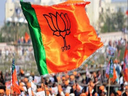 Image result for पताका