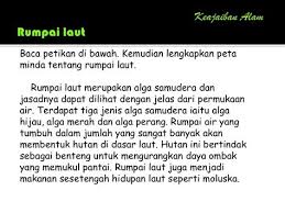 Ia tergolong dalam kumpulan algae, iaitu sejenis kelas tumbuhan yang menghasilkan makanannya sendiri tetapi bersifat ringkas kerana. 10 Pure Marine Collagen Kunak Sabah Malaysia Ideas Marine Collagen Sabah Collagen