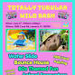 Totally Tubular Wild Bash
