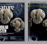 Size of Nature Journal Cover - Artwork Guidelines and Samples