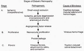 Food Chart For Diabetics In India Salemfreemedclinic Diabetes