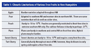 Growing Fruits Low Input Tree Fruits For Nh Home Orchards