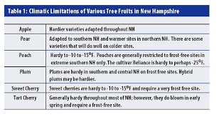 growing fruits low input tree fruits for nh home orchards