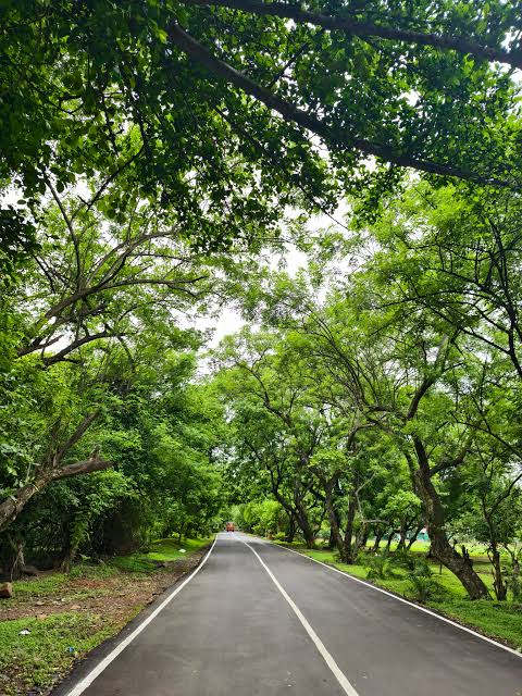 At Sanjay Gandhi National park : r/mumbai
