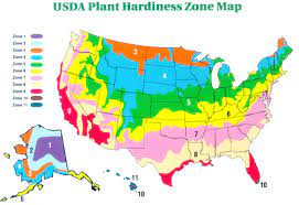 Phoenix, arizona hardiness zone map. What Is My Plant Hardiness Zone Usda Climate Plant Growing Zone Map Know Your Gardening Zone Tjs Garden
