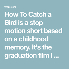 How To Catch A Bird Is A Stop Motion Short Based On A Childhood Memory It S The Graduation Film I Made For My Masters In Stop Motion Childhood Memories Catch