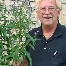 Butterfly Man' still releasing thousands of monarchs, swallowtails