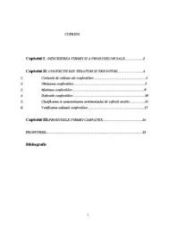 Design De Top Design Inovator De Unde SÄƒ Cumperi Descrierea Unei Firme De Haine Afstidelhi Org