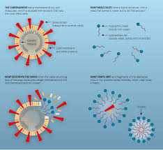 Learn The Reasons Why Handwashing Matters Wateroam Wateroam