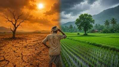 How El Nino could affect India's monsoon and your household budget -  explained | India News - The Times of India