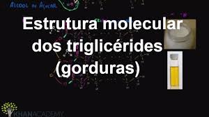 Estrutura molecular dos triglicérides (gorduras) (vídeo) | Khan Academy
