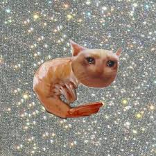 1920x1080 1920x1080 wallpaper cat, tap, water, drops, drink, thirst. Modified The Sad Cat Shrimp To Become The Ideal Look In My Mind Sadcats