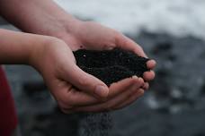Composting 101 at the Olive Free Library