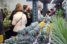 Botanischer garten der universität ulm. Gartentraume Ulm 2021 Gartenmesse Fur Garten Und Landschaftsbau Gartenbedarf Und Blumen