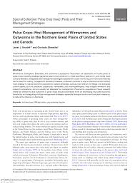 4 pinoxaden market, by crop 4.1 fruits & vegetables 4.2 cereals & grains 4.2.1 barley 4.2.2 wheat 4.3 other crops. Pdf Pulse Crops Pest Management Of Wireworms And Cutworms In The Northern Great Plains Of United States And Canada