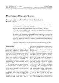 Image result for Trachyphrynium braunianum