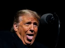 Buzzfeed staff the more wrong answers. Opinion Take This Trump Election Day Quiz Before It S Too Late The New York Times