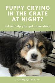 Puppy Crying In Crate At Night Here S Help Happy Oodles Kennel Training A Puppy Puppy Training Crate Training Puppy