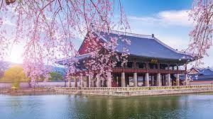 Elevate your bankrate experience get insider access to our best financial tools and content elevate your bankrate experience get insider access to our best financi. Tips For A Nice Holiday Tour To Korea Oasisparquehotel Com