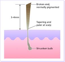 We did not find results for: Regional Dermatology Plastic Surgery Key