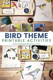 Letter hunt for early literacy. Kindergarten And Preschool Bird Theme Activities Unit Study Natural Beach Living