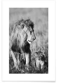 Posters De Lions Et Affiches En Ligne Juniqe ⬋😘 un énorme merci aux sponsors pour leur soutien ! posters de lions et affiches en ligne