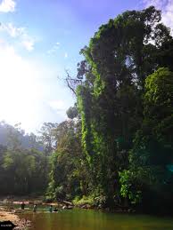 Kepulauan mersing tahun 2003, taman negara pulau pinang tahun. Terokai Khazanah Alam Di Taman Negara Endau Rompin Selai Kakitravel Net