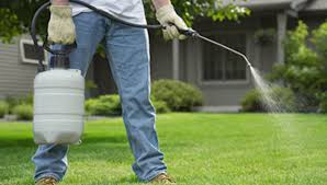 We are your best source for professional / commercial grade pest control supplies, approved for both residential and commercial pest control. Best Diy Pest Control Blogs A Listly List