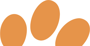 Check spelling or type a new query. Newington Pet Spa