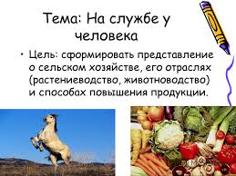 Prezentaciya Na Temu Predmet Okruzhayushij Mir Uchebnik Chelovek I Priroda Avtor A A Vahrushev Umk Shkola 2100 G Habarovsk Mou Nosh Otkrytie Uchitel Nachalnyh Klassov Skachat Besplatno I Bez Registracii