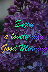 Maybe you would like to learn more about one of these? Best 66 Good Morning Gif Images Wishes Quotes