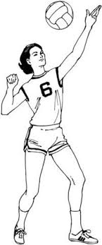.dibujos dibujos para imprimir cancha de voleibol para colorear que es el voleibol volleyball vector clip art jugadores de voleibol volleyball color page voleibol origen. Dibujo De Jugadora De Voleibol Para Colorear Dibujos Para Colorear Imprimir Gratis Volleyball Drawing Coloring Pages Coloring Pages For Kids