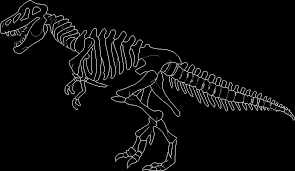This is a question we often hear from visitors as they roam the field museum, especially about dinosaur bones. Dinosaur Skeleton In Autocad Cad Download 62 03 Kb Bibliocad