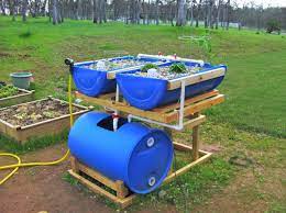 Some Tips To Help You Get Started With Aquaponics