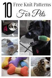 Our website provide thousands of free crochet patterns for beginners, crochet tutorials and offers free crochet patterns to download. 10 Free Knit Patterns For Pets Knitted Dog Sweater Pattern Dog Sweater Pattern Knitting Patterns For Dogs