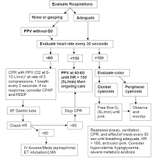 Neonatal 1 Neonatal Resuscitation Algorithm