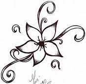 How To Draw A Star Lily Flower Sketches Easy Flower Drawings Flower Drawing