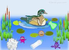 Cuento De Amor A La Naturaleza Humedales Aves Cuentos Patos Viejitos