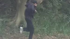 Gunman who sparked lockdown in Sydney's inner west remains on the run - ABC News & Headlines - Australian Broadcasting Corporation