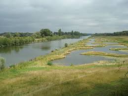 Lagunage —  lagynaʒ  n. Lagunage Wikipedia