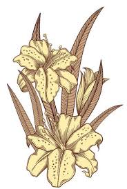 Blooming Lily Flowers Detailed Hand Drawn Vector Illustration Romantic Decorative Flower Dr In 2020 Hand Drawn Vector Illustrations Flower Drawing Flower Vector Art