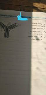 فى اليوم الثانى لامتحانات الصف الأول الثانوى العام أدى قرابة 650 ألف طالب وطالبة امتحان مادة الأحياء إلكترونيا وورقيا معا، ونجح السيستم الإلكترونى بشكل ملحوظ فى دخول الطلاب. Ø­Ù…Ù„ Ø§Ù„Ø§Ø¬Ø§Ø¨Ø© Ø§Ù„Ù†Ù…ÙˆØ°Ø¬ÙŠØ© Ù„Ø§Ù…ØªØ­Ø§Ù† Ø§Ù„Ø§Ø­ÙŠØ§Ø¡ Ù„Ù„ØµÙ Ø§Ù„Ø«Ø§Ù„Ø« Ø§Ù„Ø«Ø§Ù†ÙˆÙ‰ Ù¢Ù Ù¡Ù©