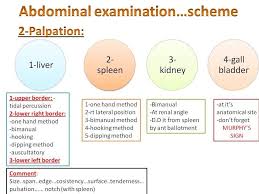 Pin By Omar Naji On Medicine Bladder Athletic Training Positivity